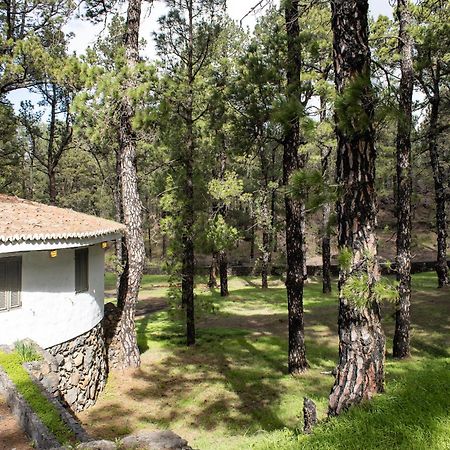 Vivienda Vacacional Finca La Redonda El Paso Dış mekan fotoğraf
