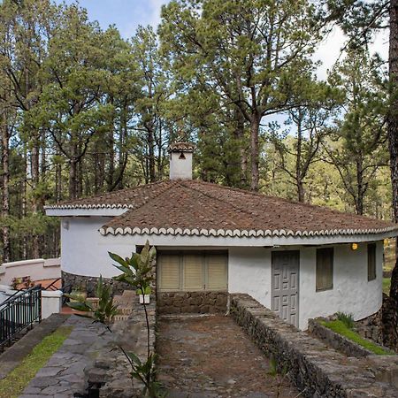 Vivienda Vacacional Finca La Redonda El Paso Dış mekan fotoğraf